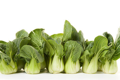 detox cleansing fast