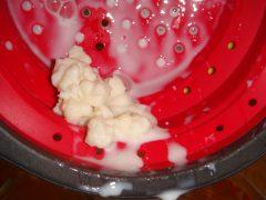 best probiotic live grain milk kefir