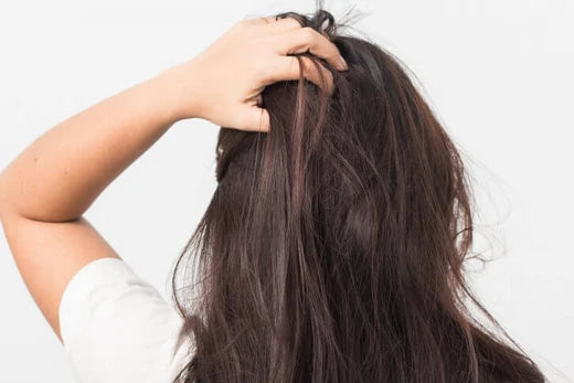 how to use dandruff products for dry itchy scalp