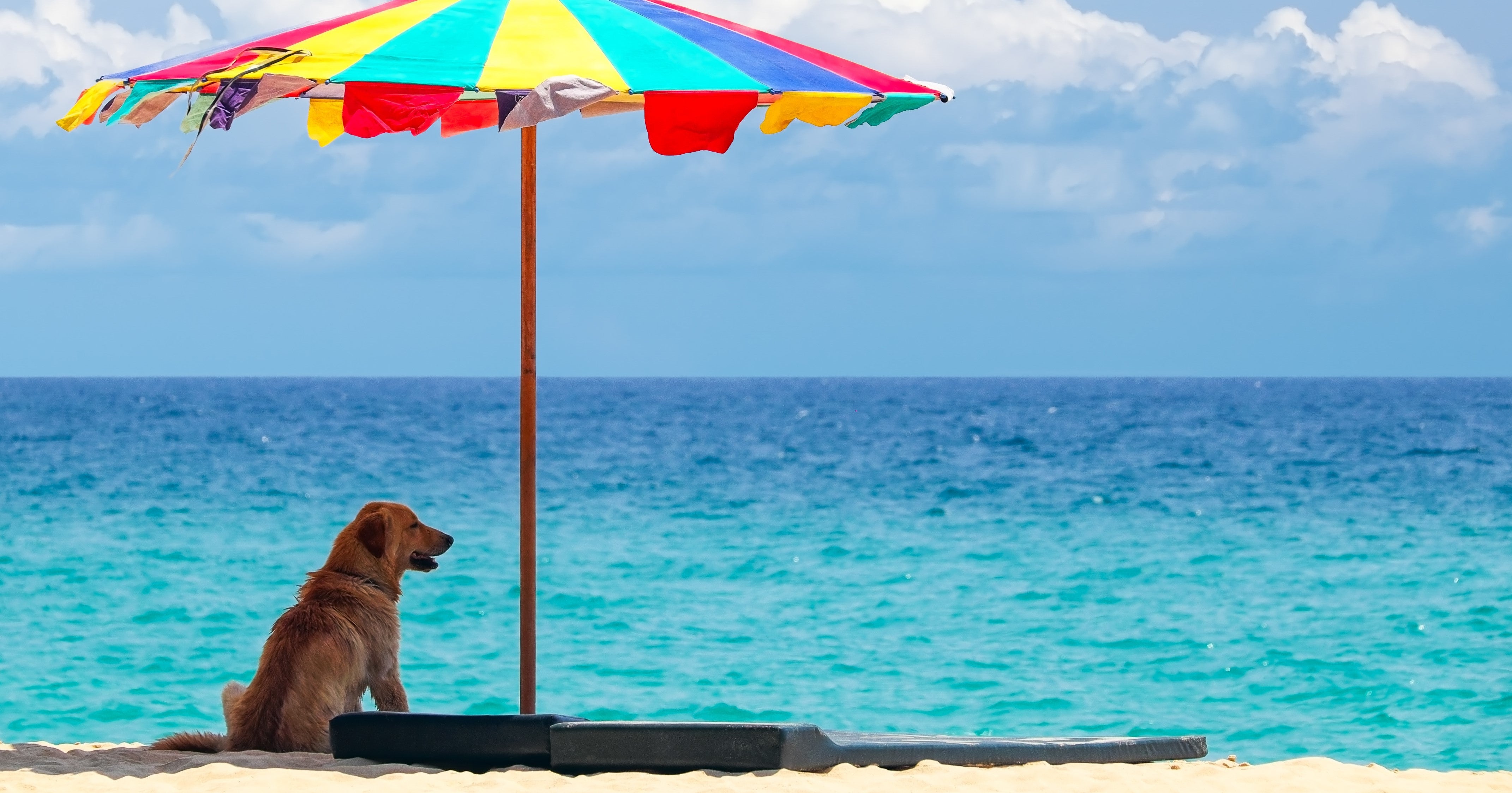 skin cancer awareness month