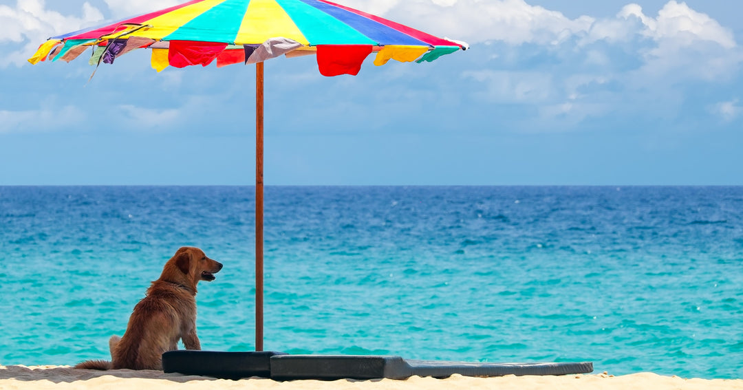 skin cancer awareness month