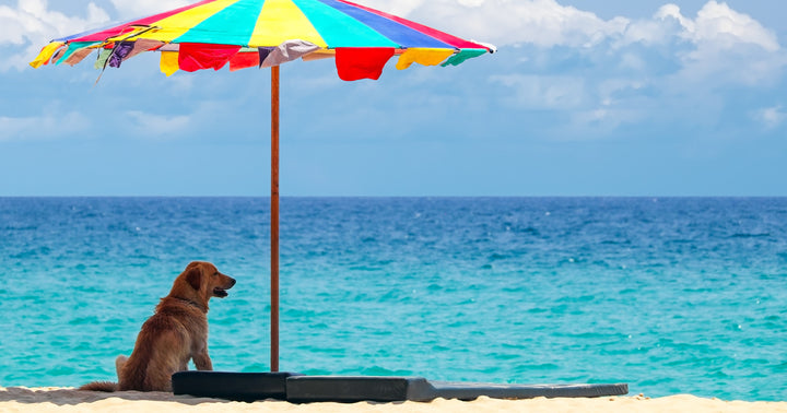 skin cancer awareness month